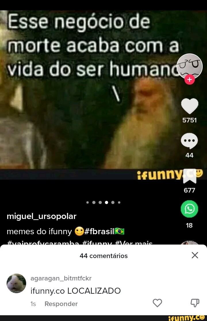 Melhorei memes. Best Collection of funny Melhorei pictures on iFunny Brazil