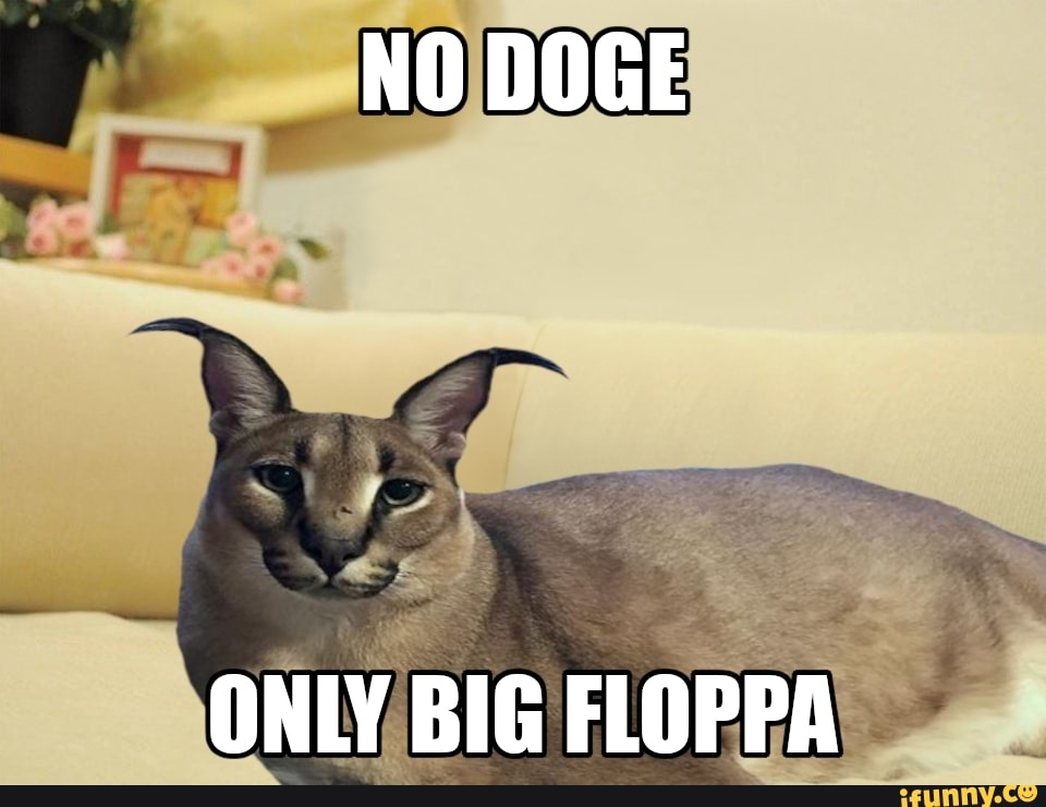 Everyone say hey Big Floppa Not how Big Floppa - iFunny Brazil
