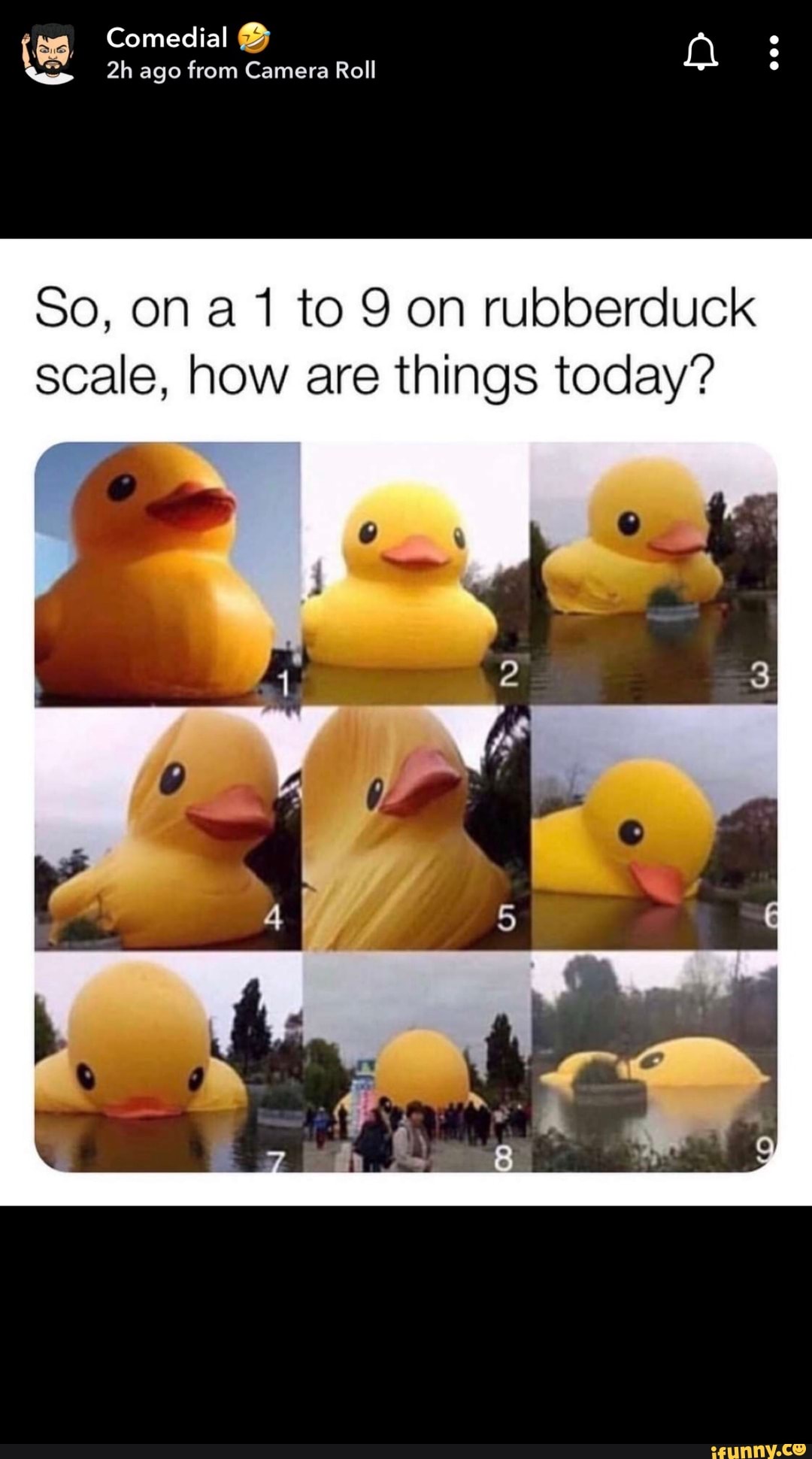 So, on a 1 to 9 on rubberduck scale, how are things today? - iFunny Brazil