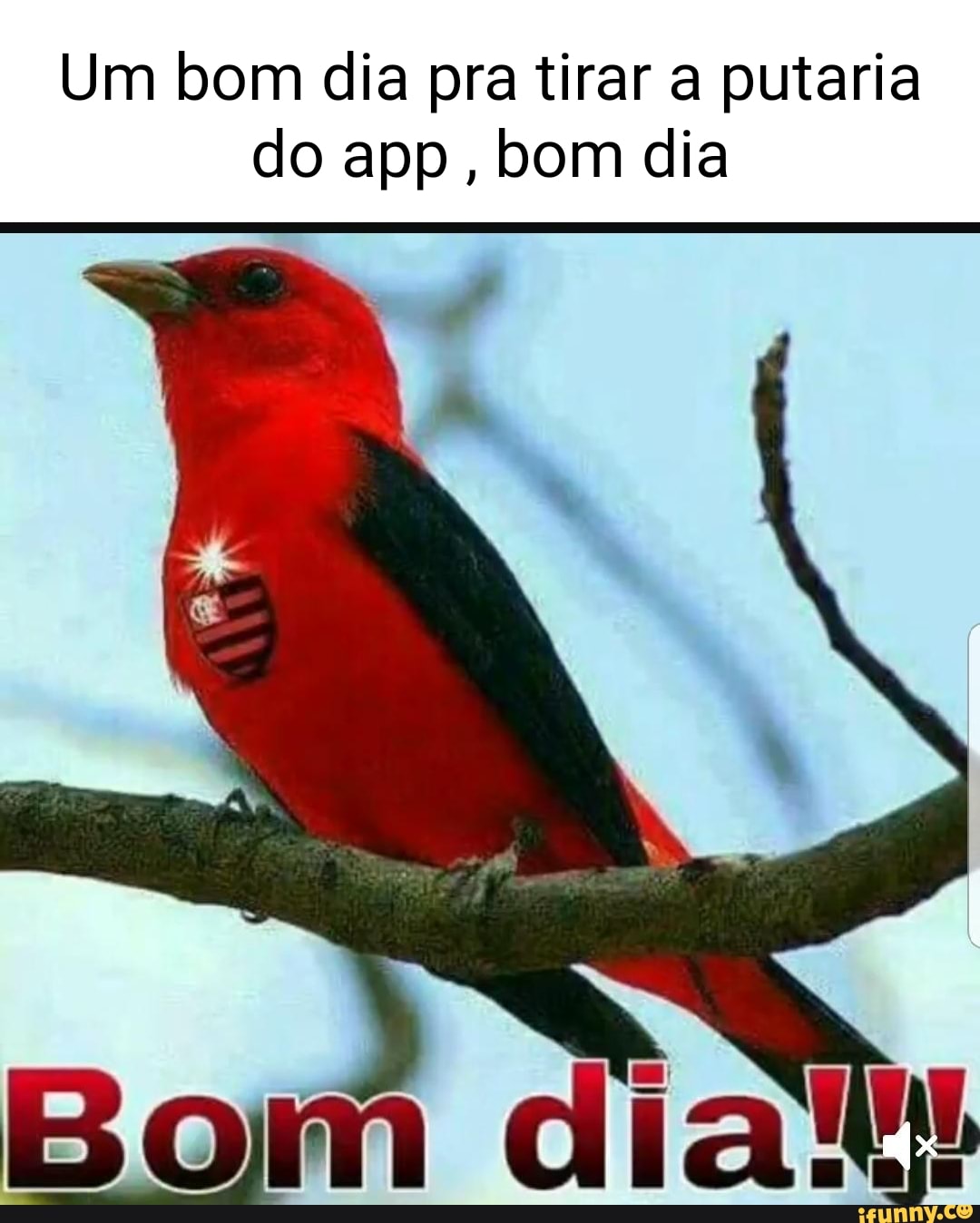 Um bom dia pra tirar a putaria do app, bom dia - iFunny Brazil