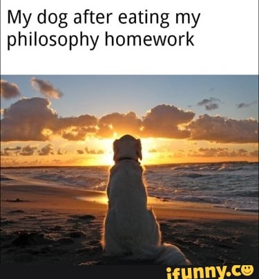 dog ate my philosophy homework