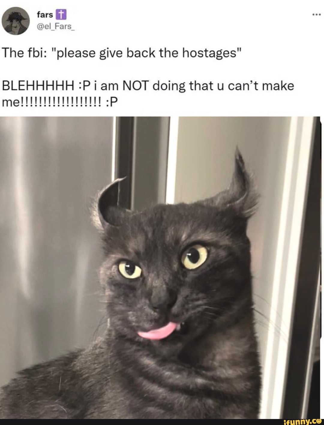 BLEHHHHH :P Cat