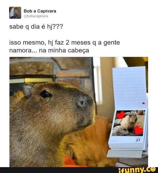 Com vocês, Clara, a capivara - iFunny Brazil