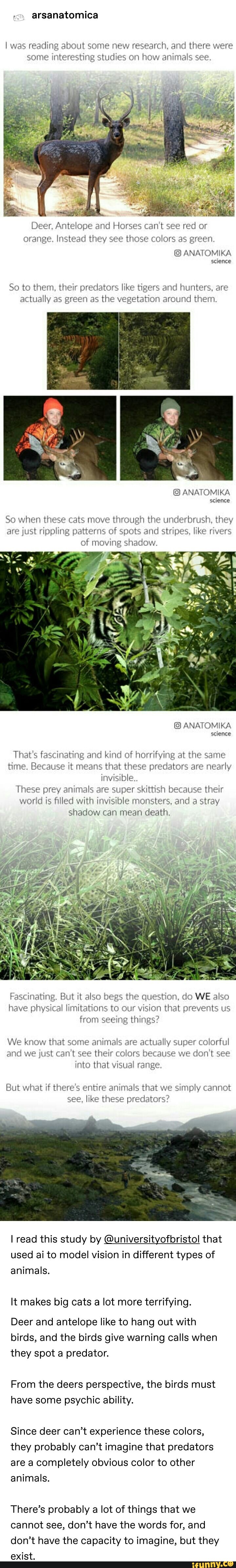 Anatomika memes. Best Collection of funny Anatomika pictures on iFunny