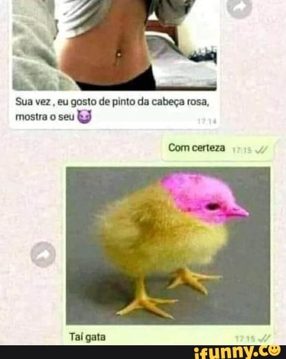 Tipos de Pintos - Pintos memes - Figurinhas para WhatsApp