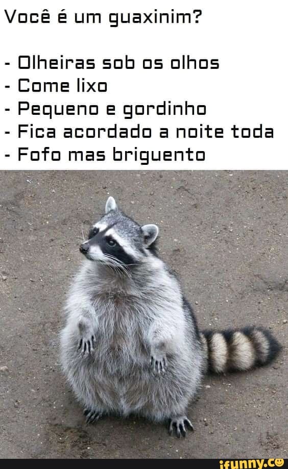 Memes de imagem oYlXfyiD9 por Tonho_jaguara: 2 comentários