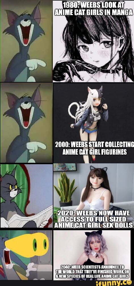 Cat girls when? - Weebs and Their Memes