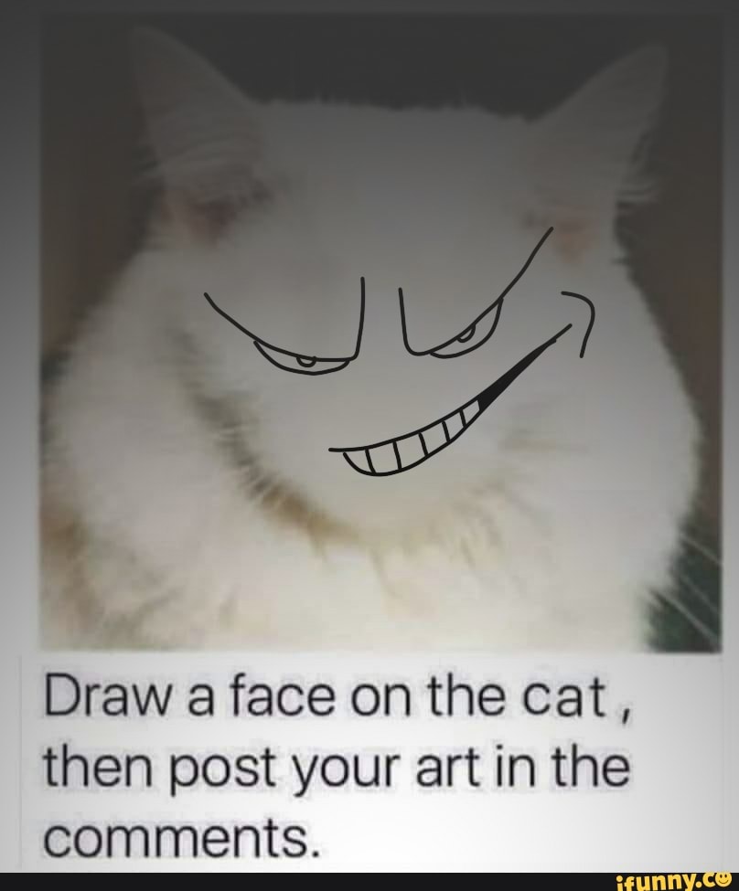 Draw a face on the cat, then post your art in the comments. - iFunny