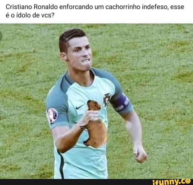 Indefesos memes. Best Collection of funny Indefesos pictures on iFunny  Brazil