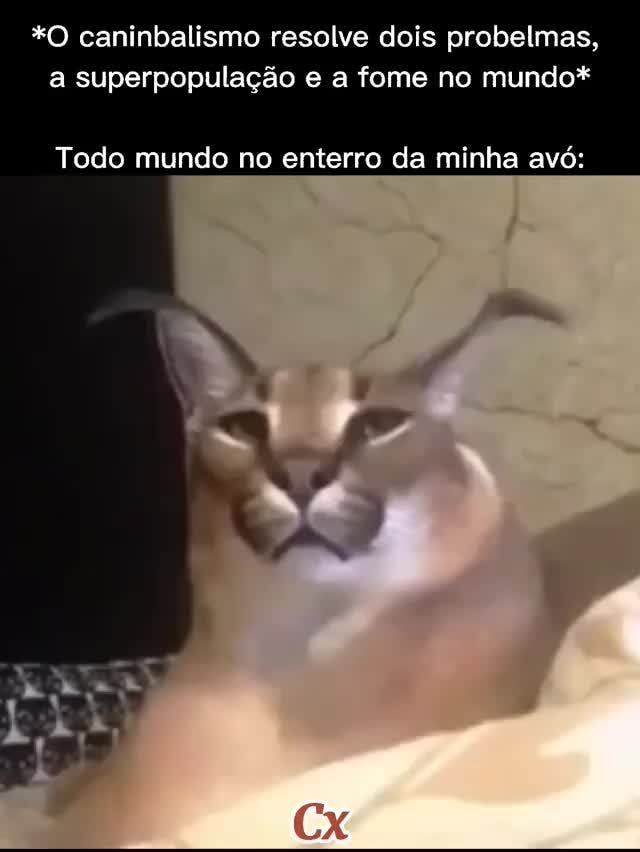 Memes de imagem 6LM0EWon9 por o_camburao_preto: 1 comentário - iFunny Brazil