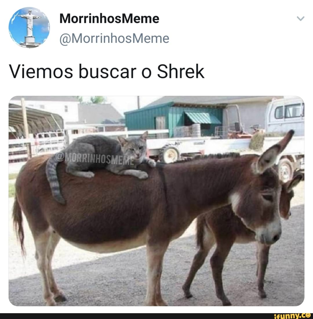 O QUE VOCÊ PREFERE? adotar o Shrek scp-999 - iFunny Brazil