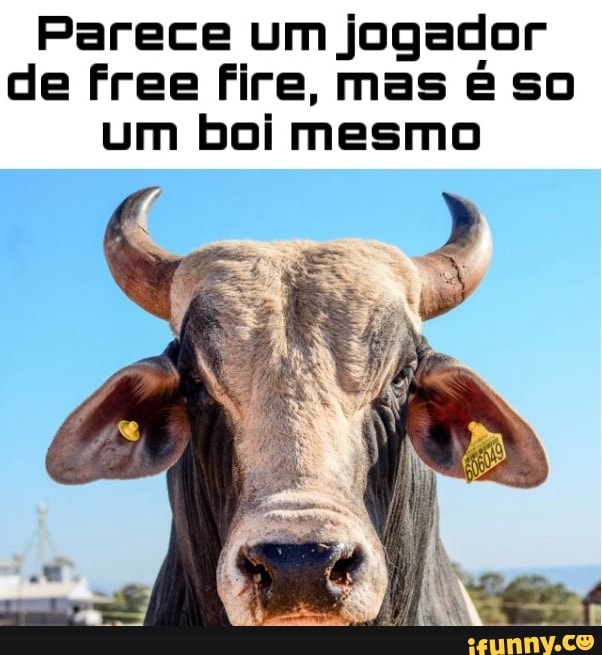 Pesquise ox no Google images e descubra a maior comunidade de jogadores  de Free fire do mundo! - iFunny Brazil