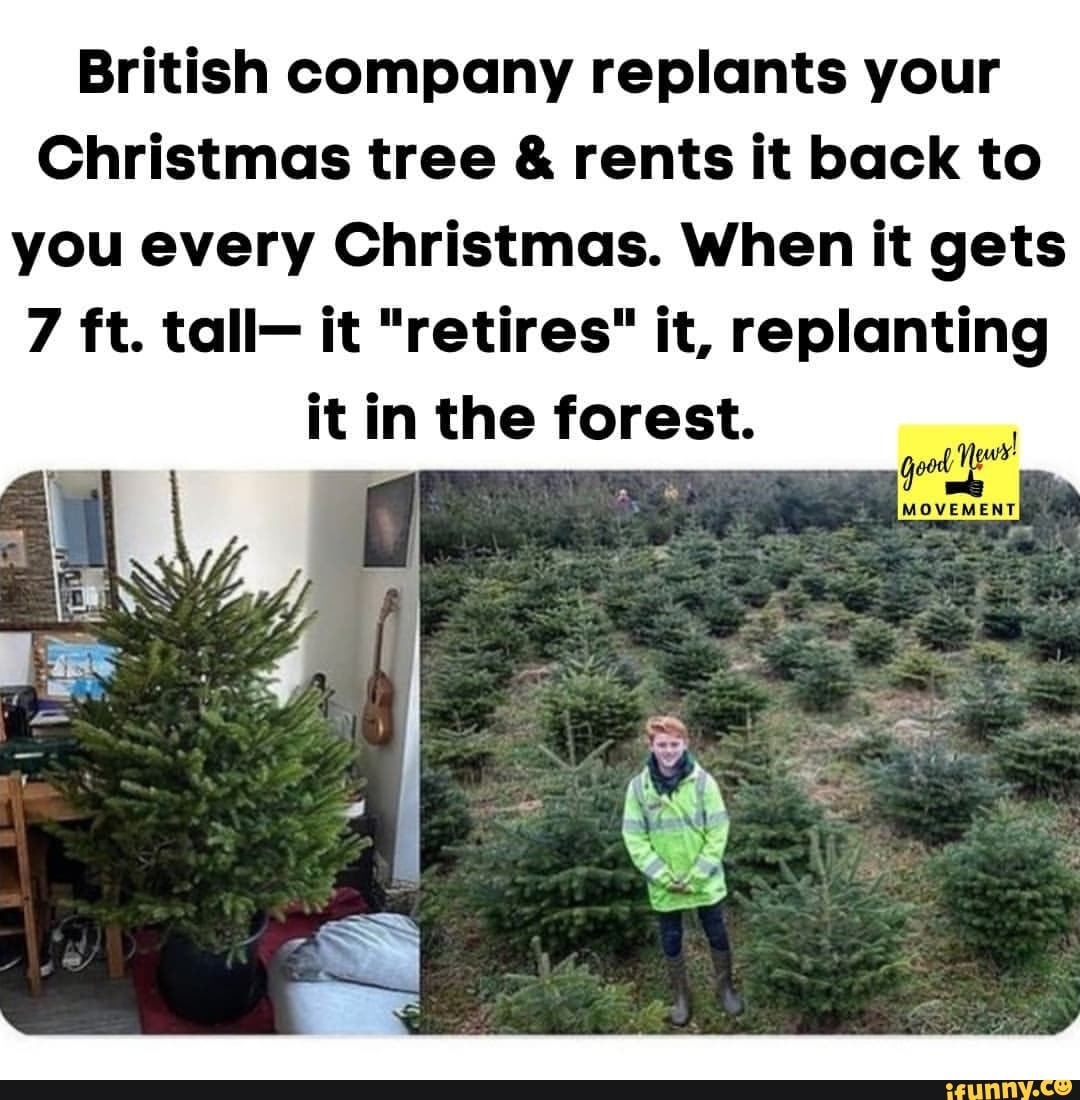 British company replants your Christmas tree & rents it back to you