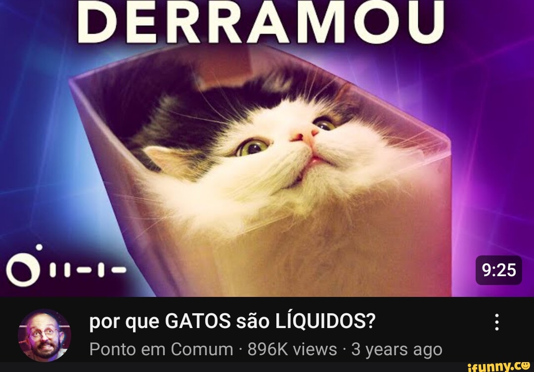 Derramou Por Que Gatos São LÍquidos Ponto Em Comum 896k Views 3 Years