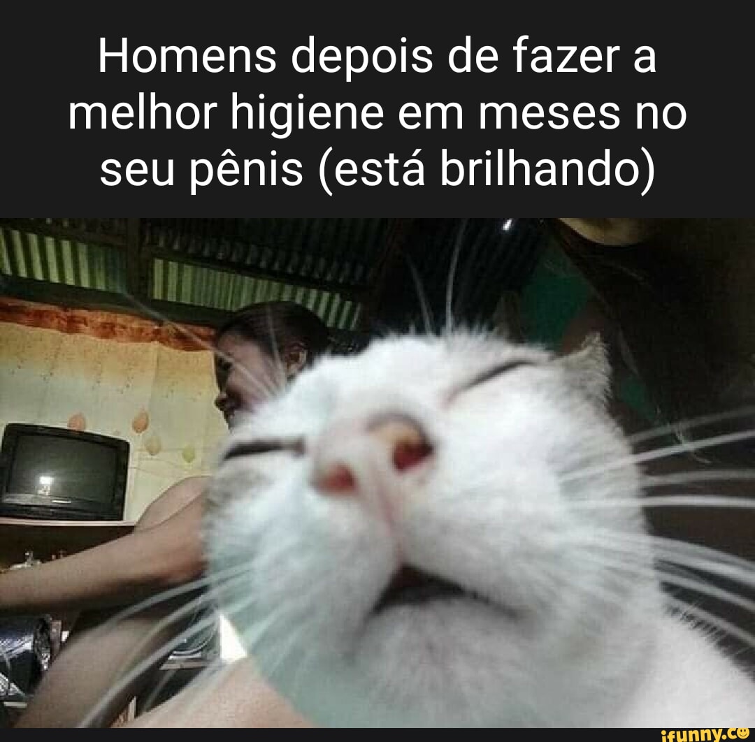 Saudo memes. Best Collection of funny Saudo pictures on iFunny Brazil