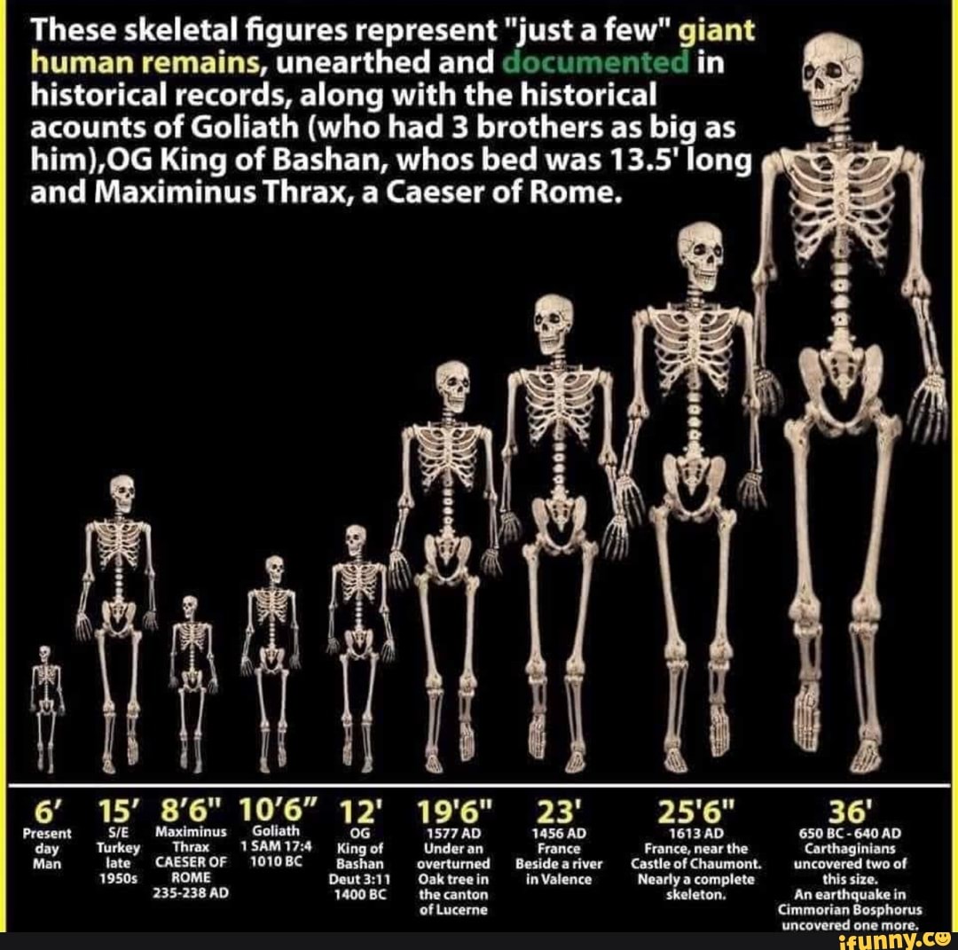 giant human skeleton