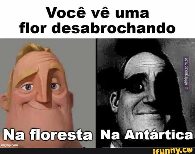 Picture memes Yocu0grI6 by FlorkReacts: 6 comments - iFunny Brazil