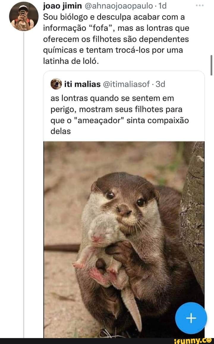 Loló memes. Best Collection of funny Loló pictures on iFunny Brazil