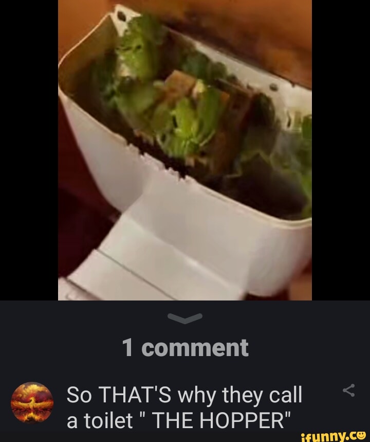 Comment So THAT'S why they call toilet " THE HOPPER" iFunny Brazil