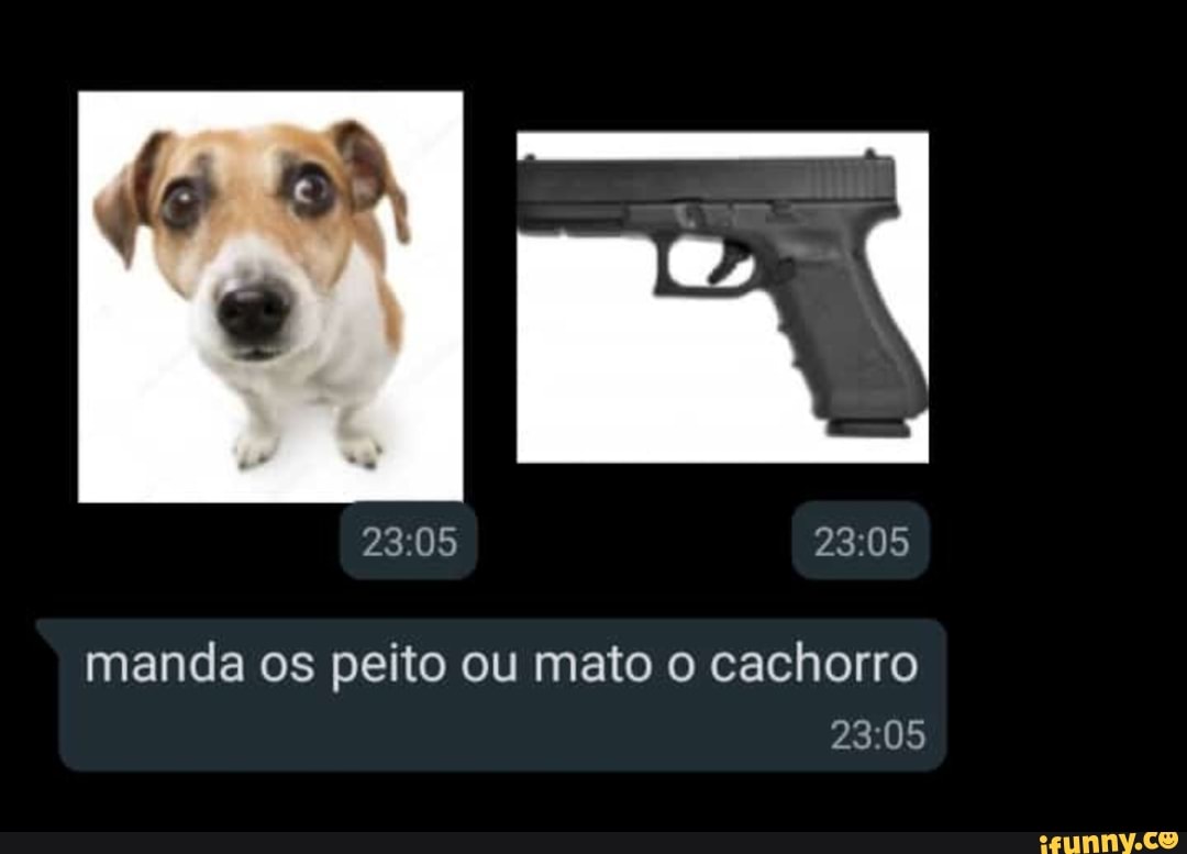 23.05 manda os peito ou mato o cachorro - iFunny Brazil