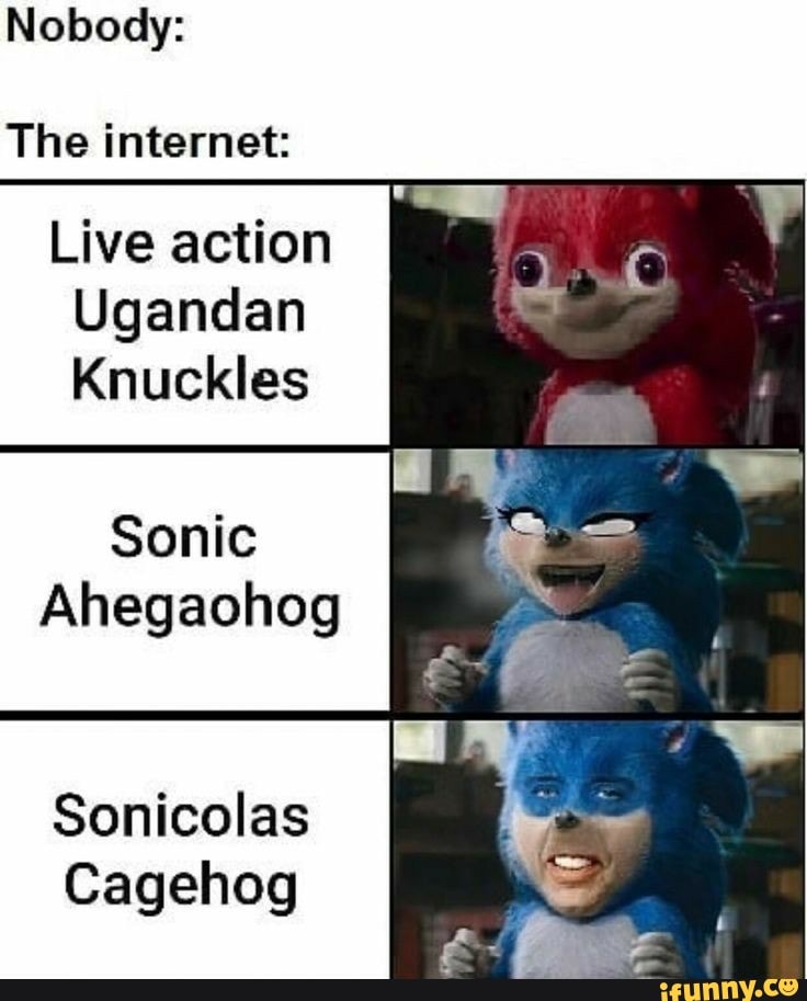 Sonic the Hedgehog (@sonic_hedgehog)'s video of ugandan knuckles