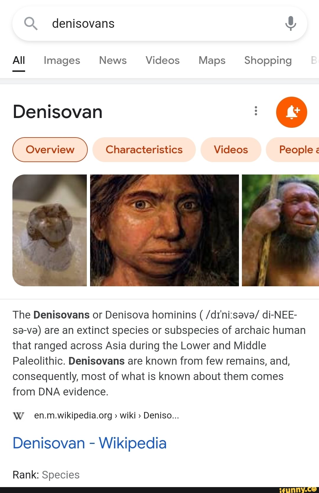 Q. denisovans All Images News Videos Maps Shopping Denisovan ...