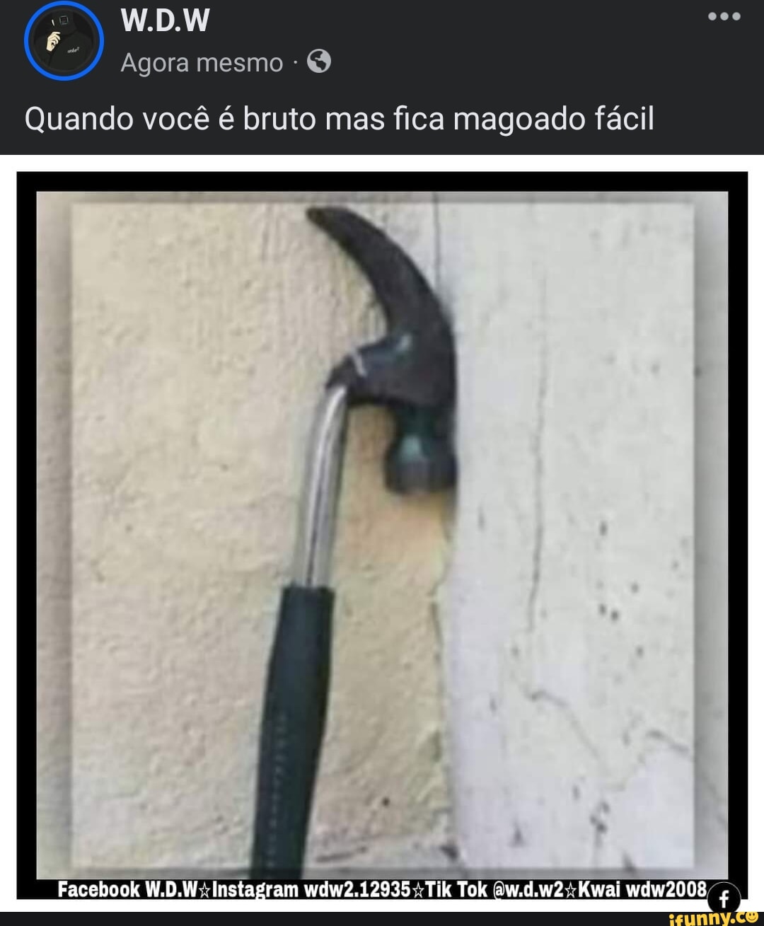 Memes de imagem bWkbZZZF8 por Vash_o_estouro_da_boiada: 3 comentários -  iFunny Brazil