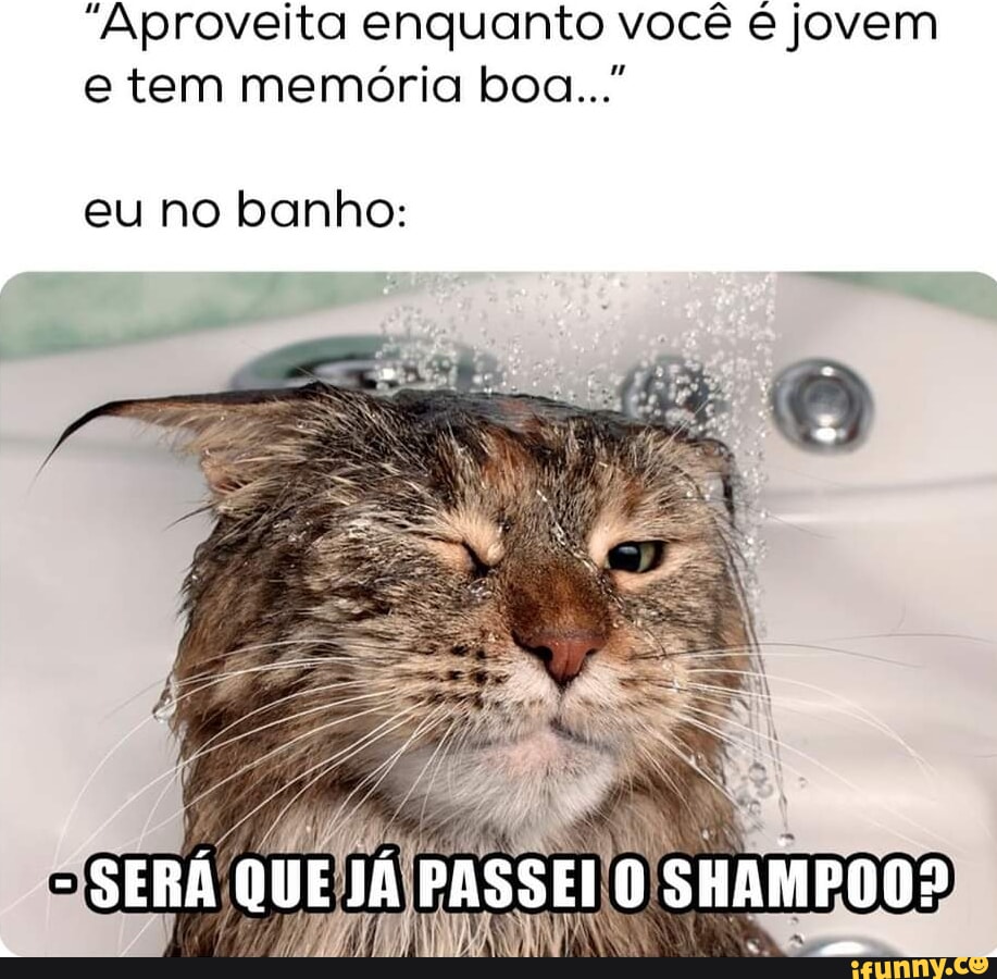 Memes de imagem ylVoZBWPA por ErrorEditz: 3 comentários - iFunny Brazil