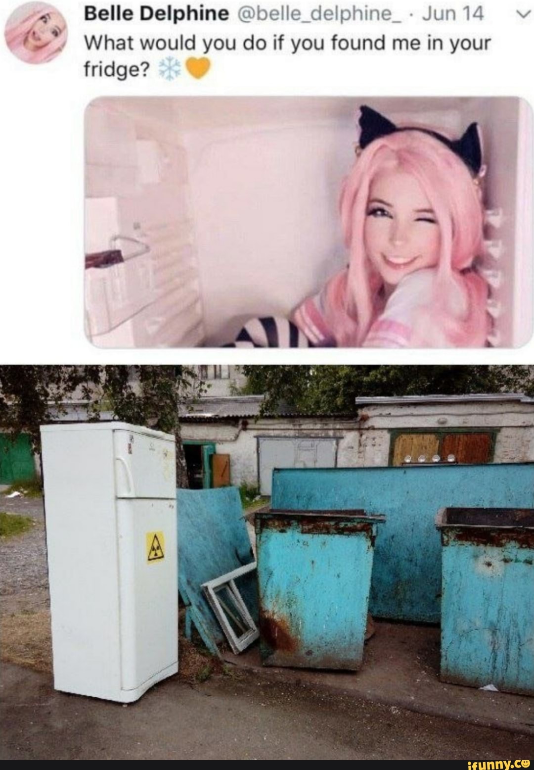 What would you do?, Belle Delphine in a Fridge