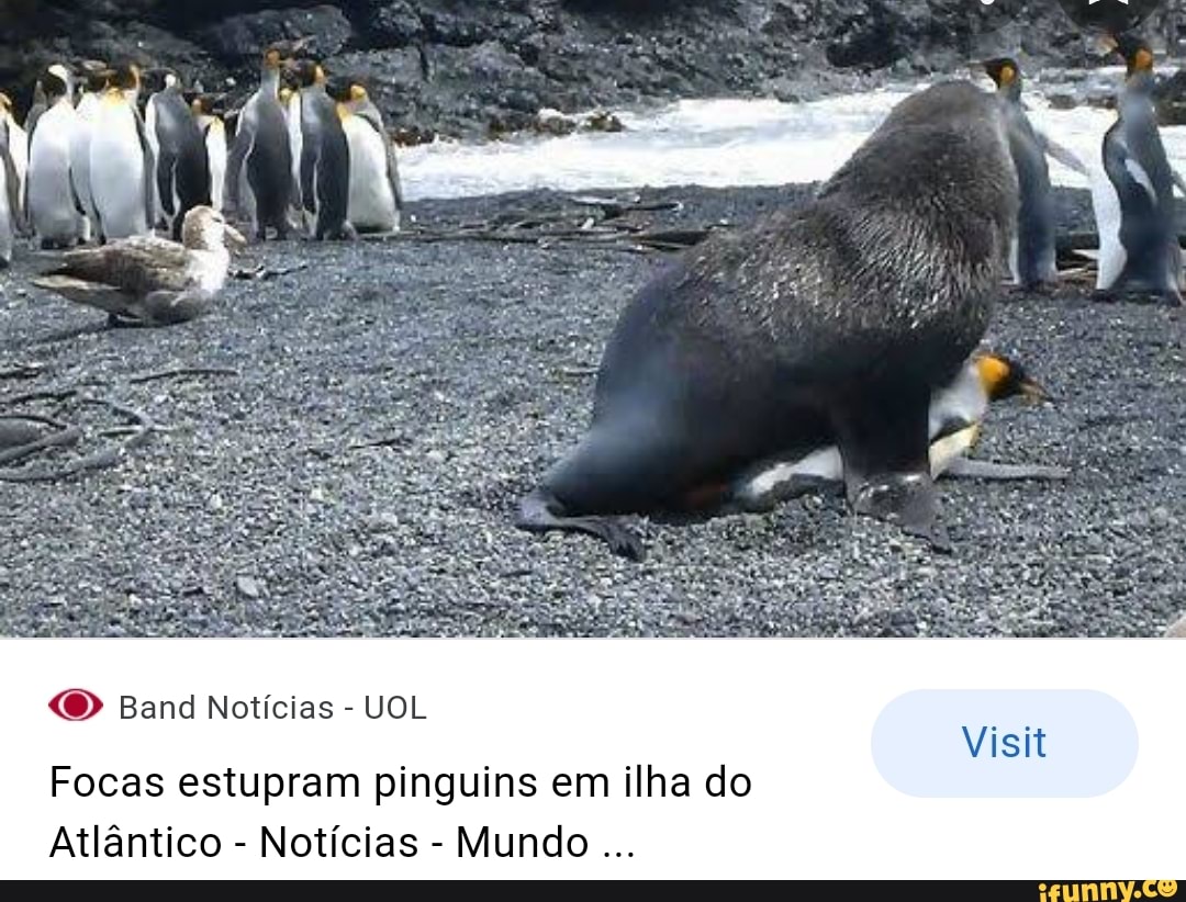 Ilha dos Pinguins – Apps no Google Play