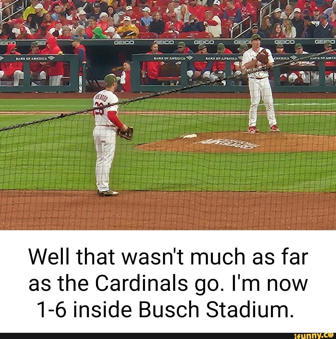 St. Louis Cardinal Baseball  Funny sports memes, Cardinals