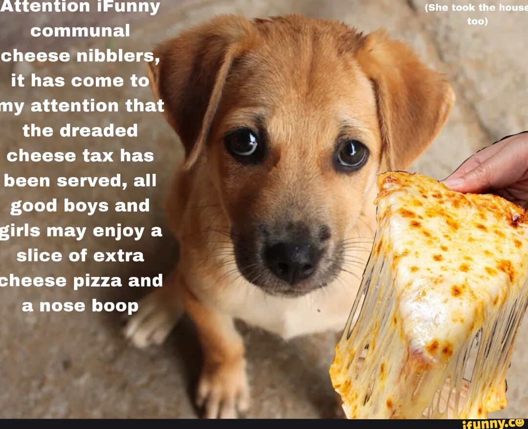 Nibblers memes. Best Collection of funny Nibblers pictures on iFunny Brazil