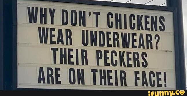 WHY DON T CHICKENS WEAR UNDERWEAR THEIR PECKERS ARE ON THEIR FACE