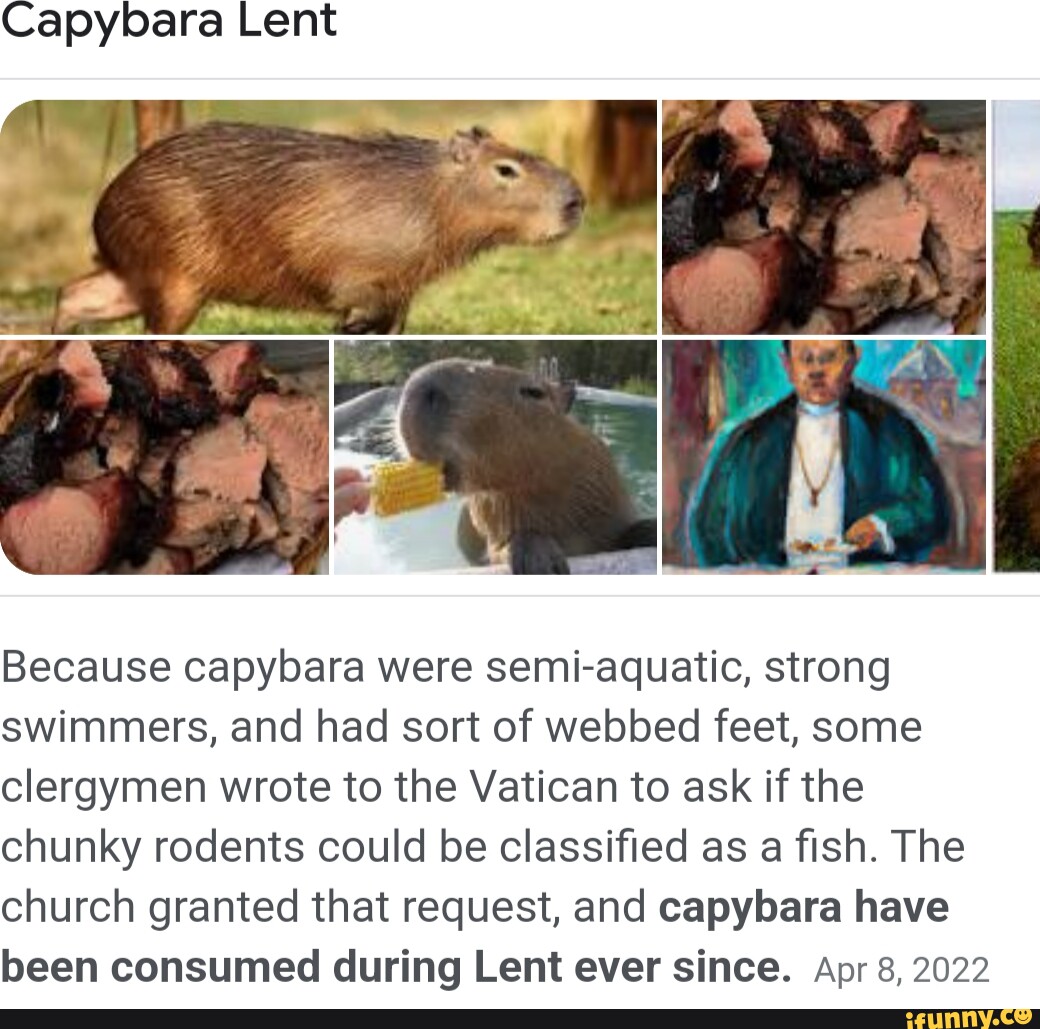 For Hundreds Of Years The Vatican Has Classed Capybara As A Fish