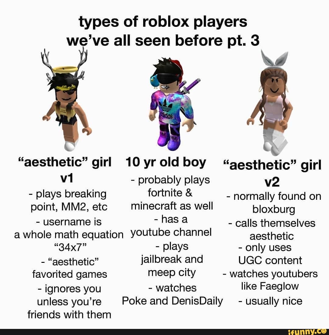 types of roblox players we've all seen before pt. 7 : r
