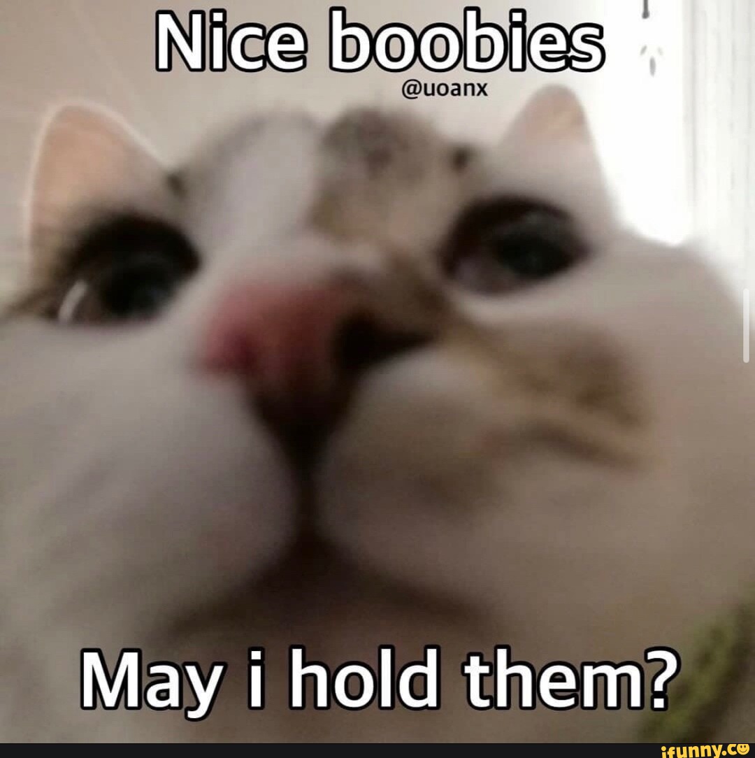 Nice boobies meme (90) фото