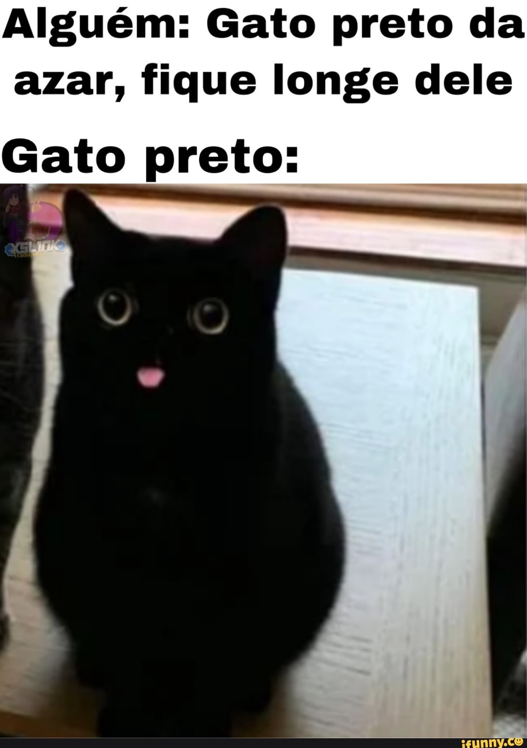 Gato Preto e-Sports