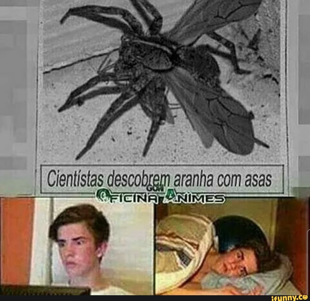 Cientistas dizem Cientistas dizem que procastisnar um sinal de inteligência  suprema kkkkk sifuder fatos desconhecidos - iFunny Brazil