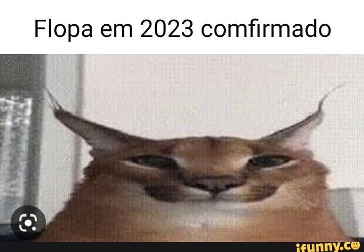 Floppacube memes. Best Collection of funny Floppacube pictures on iFunny  Brazil