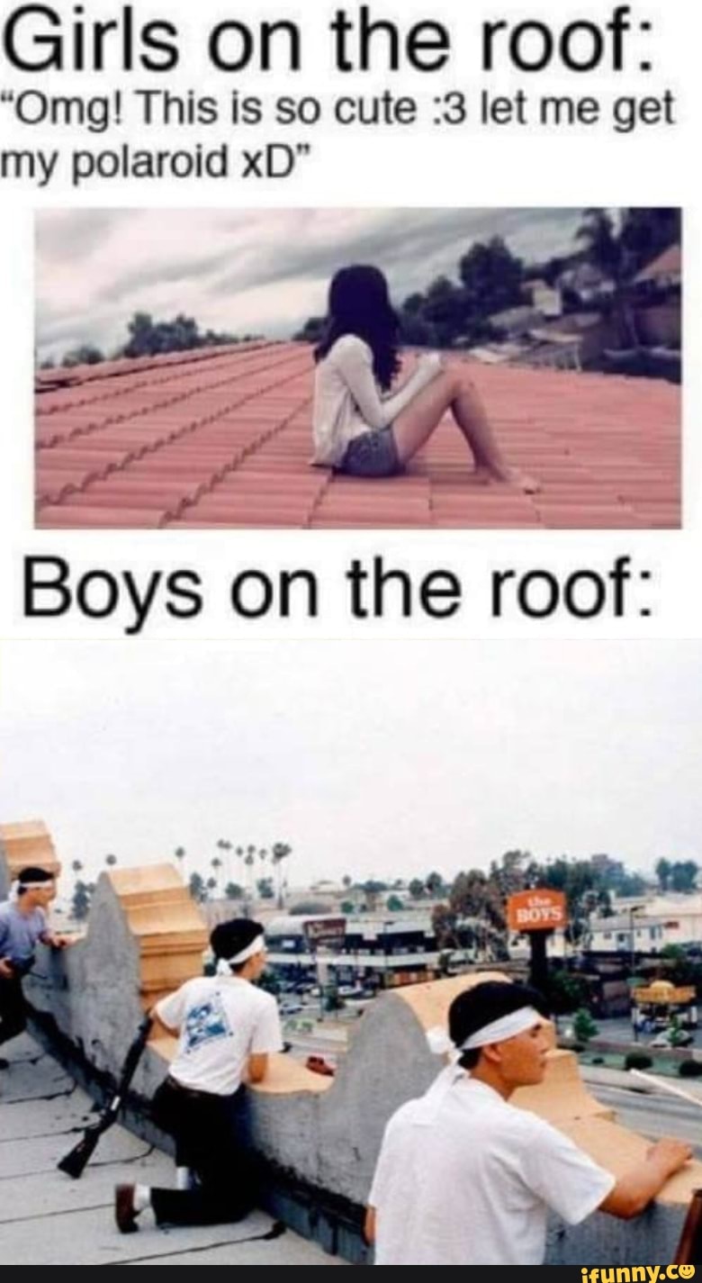 Girls on the roof: “0mg! This IS so cute :3 let me get my polaroid xD -  iFunny