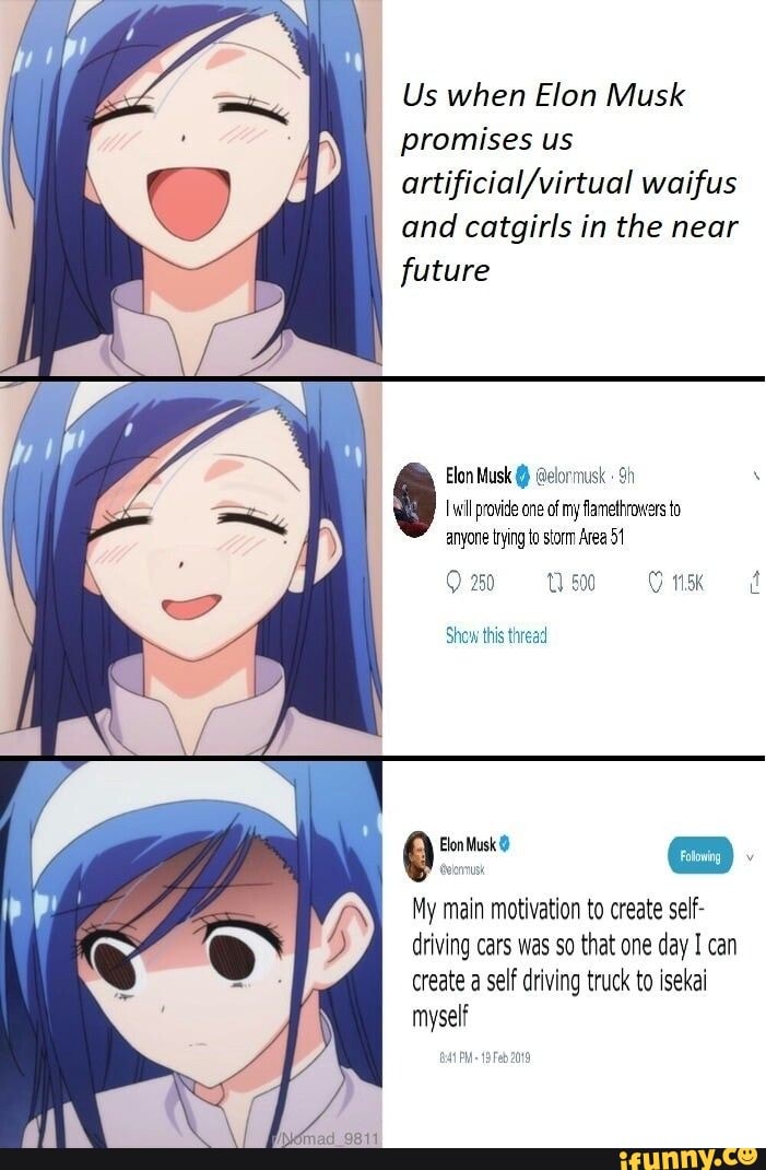 Elon Musk Promised us Cat Girls! 