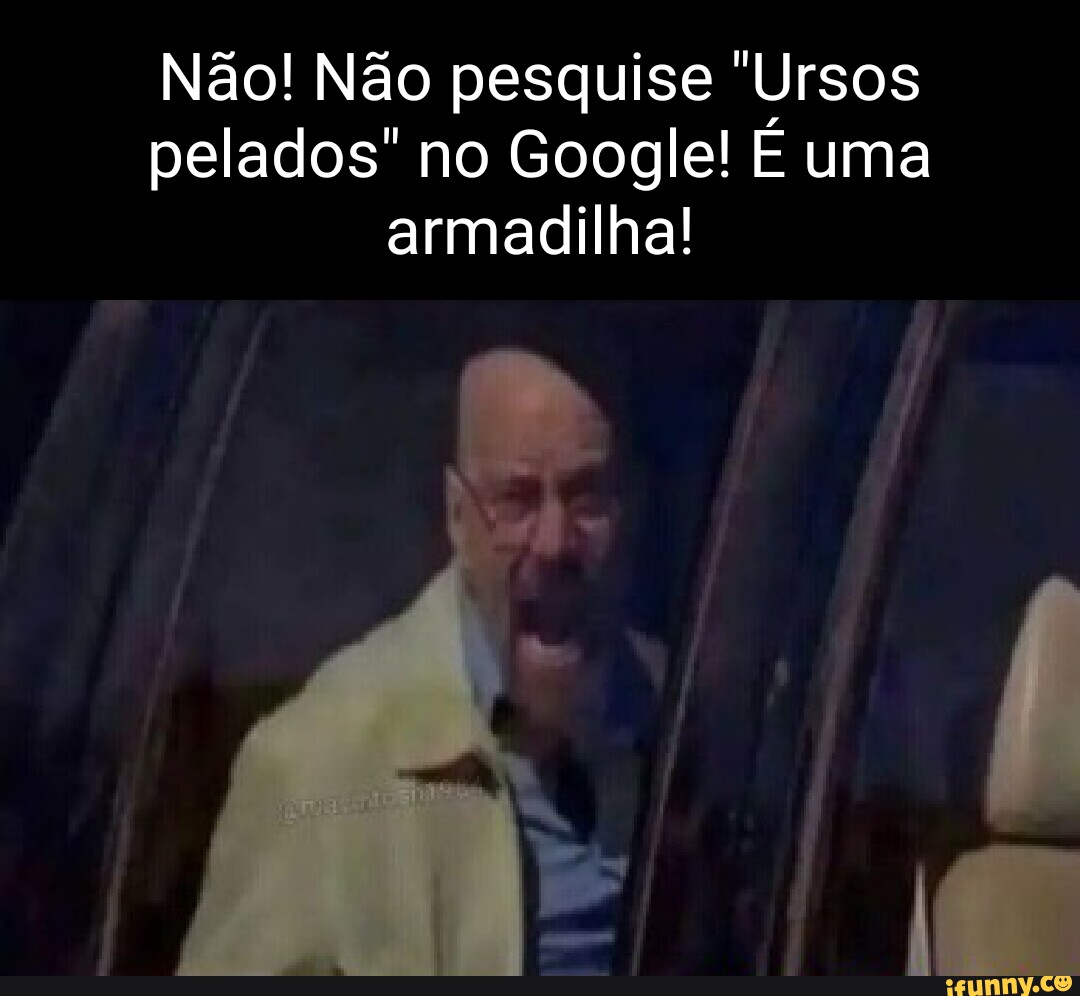 Não! Não pesquise Ursos pelados