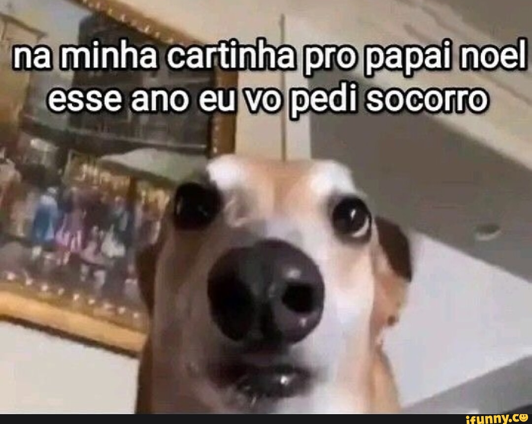 Karstaag memes. Best Collection of funny Karstaag pictures on iFunny Brazil
