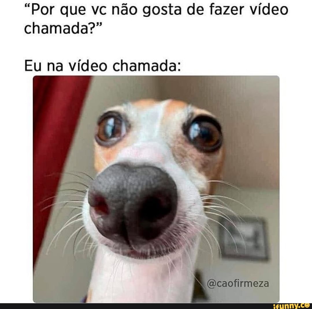 Por Que Vc Não Gosta De Fazer Vídeo Chamada Eu Na Vídeo Chamada Ceaofirmeza Ifunny Brazil 0912