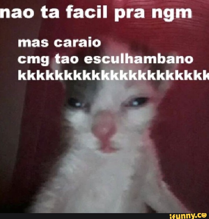 Arrota memes. Best Collection of funny Arrota pictures on iFunny Brazil