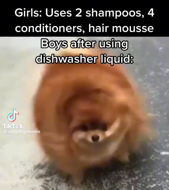 Dishwasher memes. Best Collection of funny Dishwasher pictures on iFunny  Brazil