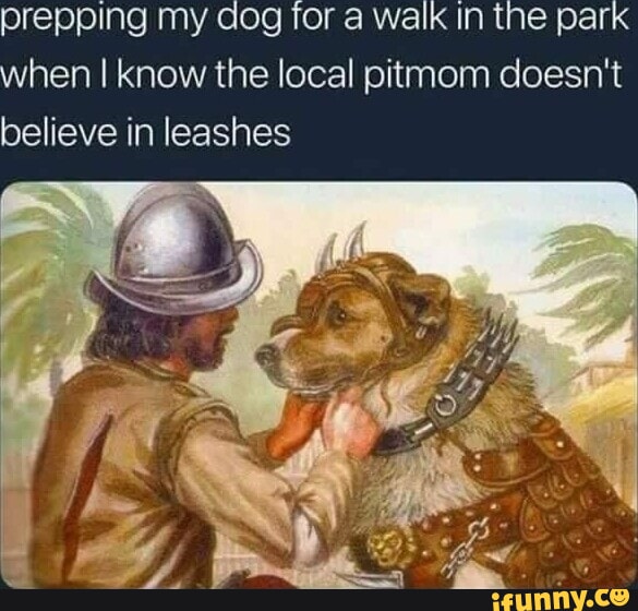 Pitt memes. Best Collection of funny Pitt pictures on iFunny Brazil