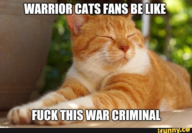 WarriorCats warrior cats Memes & GIFs - Imgflip