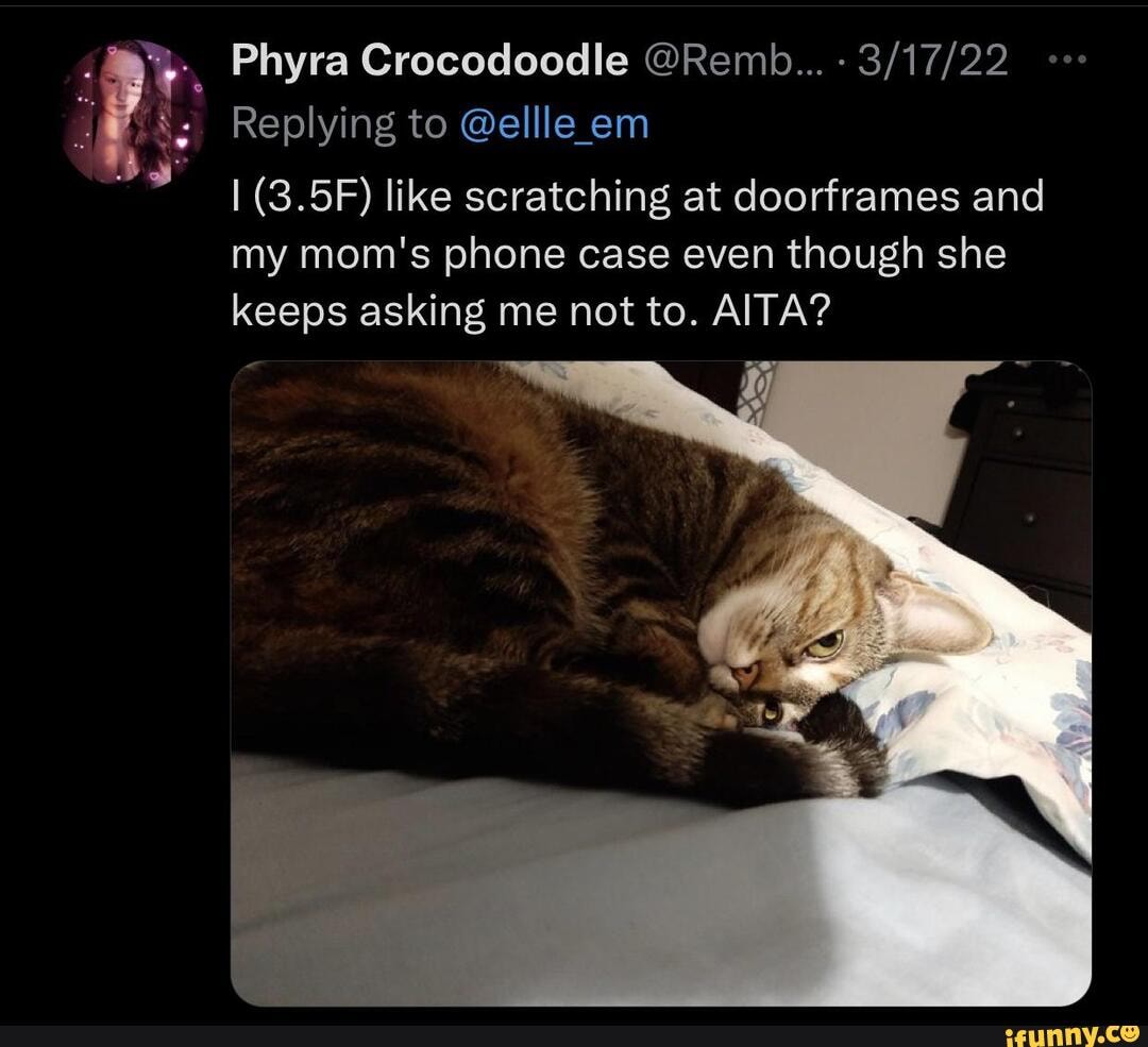 Phyra memes. Best Collection of funny Phyra pictures on iFunny Brazil