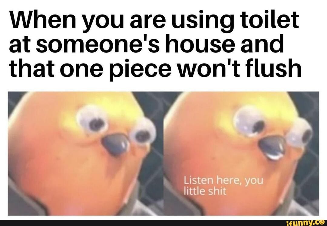 Made this one on the toilet : r/memes